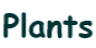 Plants